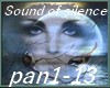 Sound of silence-pan