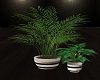 ~SL~ RSE Plants v1