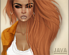 -J- Hermiqia carrot