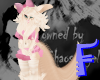 Cute Anyskin Fennec Fox Furry