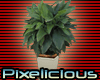 PIX WA Potted Plant