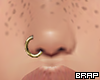 Gold Nose Ring R