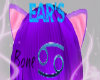 DR violet ears furry
