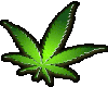 {LA} Cannabis