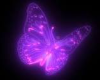 neon butterfly couch