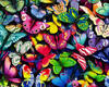 Cute Butterflies (1)