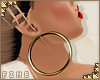 F| Gold Hoops