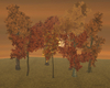 7 Autumn Trees