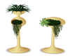 Gold planters