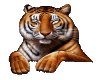 Animated Chilling Tiger