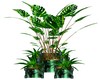 (Jt)GreenDragon Plant I