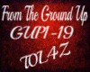 !T! From The Ground Up