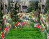 Flower Garden Background