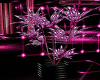 ~Z~ Club :Pink/Blk Plant