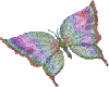 glitter butterfly33