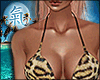 X~ Leopard ☼ Bikini