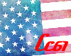 [Cc61] American Flag BG3