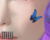 Who| Butterfly Cheek 2