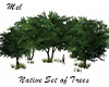 Native Set of Trees