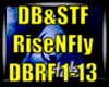 *DB&STF Rise N Fly*