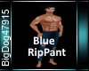 [BD]BlueRipPants