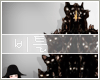 Black Cat // X-mas Tree