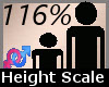 Height Scale 116% F
