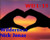 [R]Wilderness-Nick Jonas