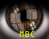 MBC -Brown Eye Shine M