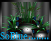*SB* Blue Romance Plant