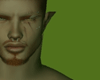 Green photo