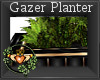 ~QI~ Gazer Planter