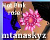 CL Hot PinkRose Collar