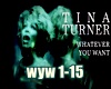 Tina Turner-Whatever you