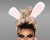SR~Easter Bunny Ears