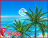Bora Beach Island