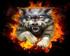 Fire Wolf Background