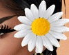 Hair Daisy R