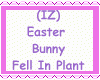 Bunny Fell In Plant