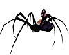 goth spider
