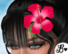 B| Hibiscus Hair Add On