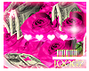 |gz| roses & money pink