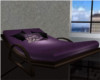 City View Lounger