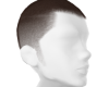 Fade Brown