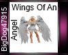 [BD] Wings Of An Angel