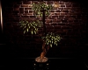 (SKY) Potted tree