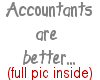 accountants