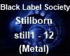 (SMR) BLS Stillborn