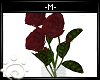 M| Rose Vase