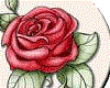[DS]Rose13